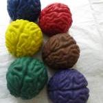 Large Brains Crayon Set of ..